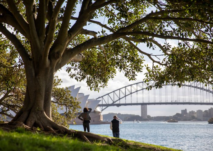 Couple enjoying the views across Sydney Harbour from the Royal Botanic Garden, Sydney