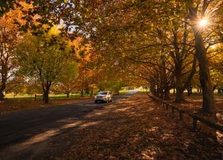 Car driving through Millbrook Park in autumn, Tenterfield