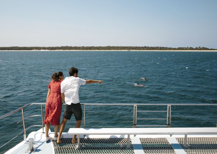 Spotting dolphins with Moonshadow Cruises, Port Stephens
