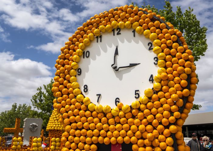 Citrus sculptures on display at Griffith Spring Fest 2019, Griffith