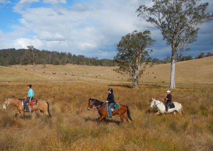 Bush horse riding with Chapman Valley Horse Riding, Howes Valley