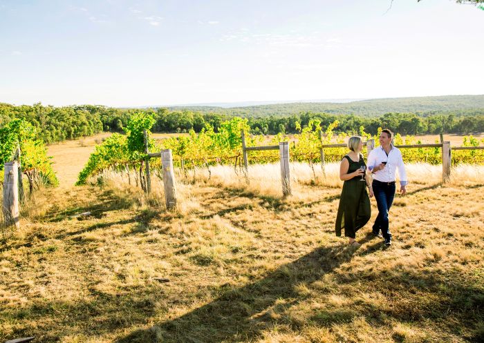 Couple enjoying red wine and a romantic stroll through the vineyards at Topper's Mountain Wines, Tingha
