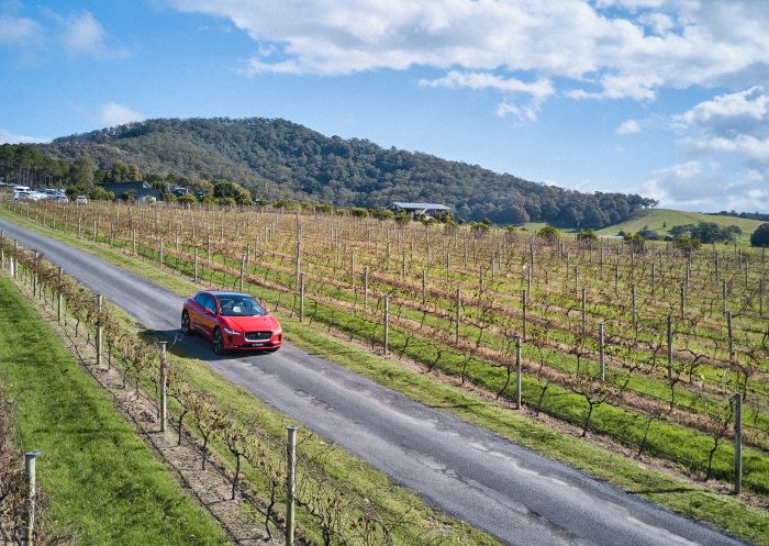 Driving through the scenic vineyards of Mountain Ridge Wines, Coolangatta