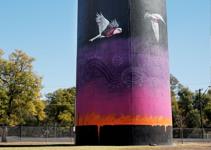 Artwork by NSW artist John Murray on the exterior of the Coonamble Water Tower, Coonamble