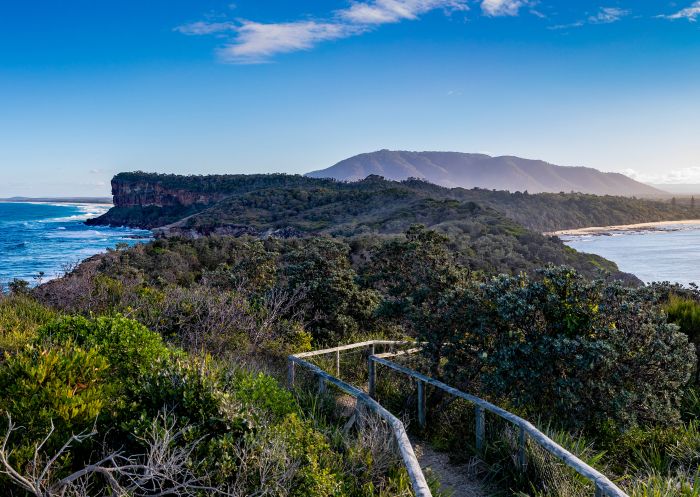 Coastal walking track at Perpendicular Point in the Kattang Nature Reserve, Camden Head