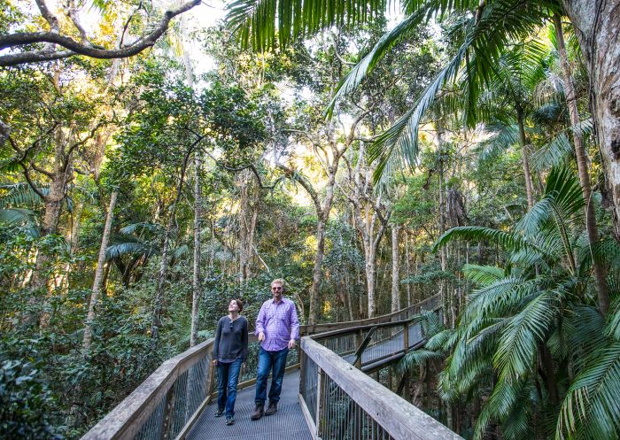  A couple stroll along the Sea Acres Rainforest boardwalk, Port Macquarie