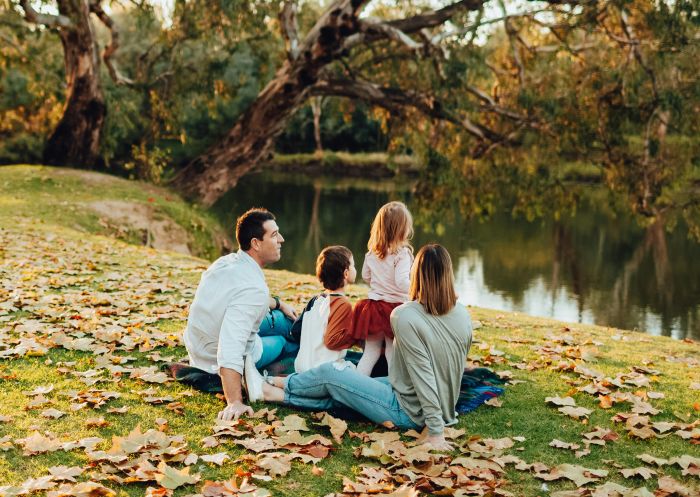 Family enjoying a picnic at Noreuil Park, Albury