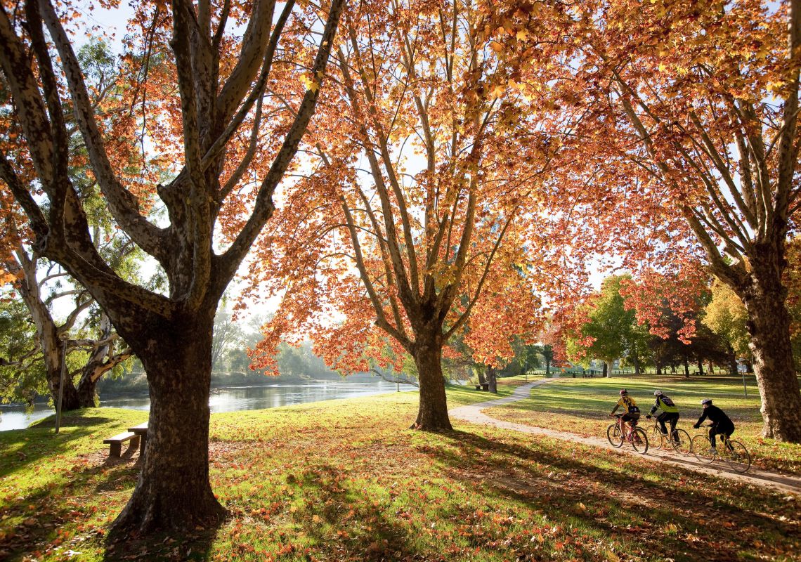 AlburyWodonga Maps, Attractions & Events