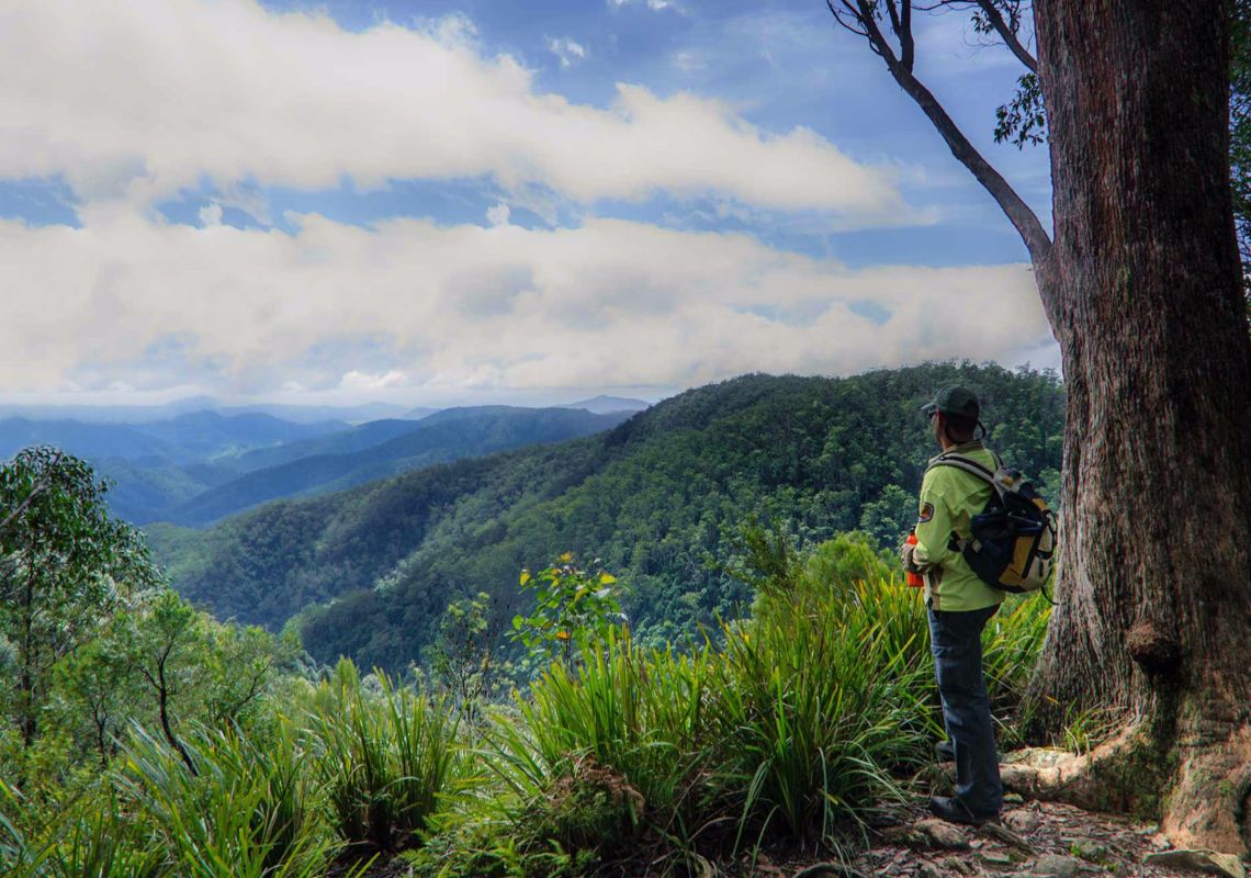 Views from Gloucester Falls Track in Barrington Tops National Park