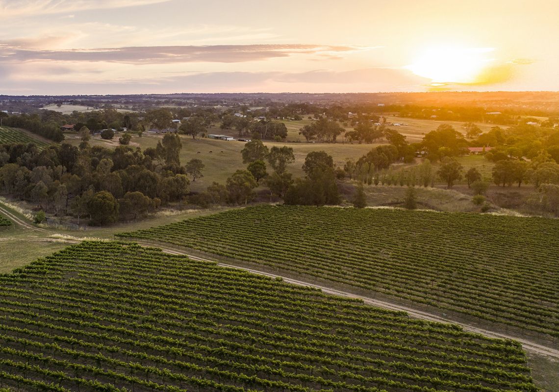 Sun setting over the scenic grounds of Grove Estate Wines in Young, Country NSW