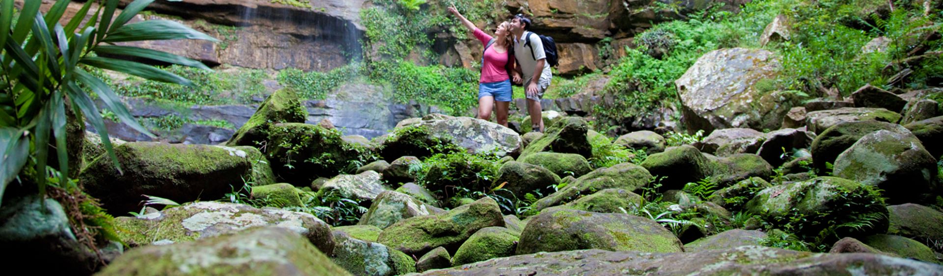 Monkey Face lookout NSW Holidays & Things to Do