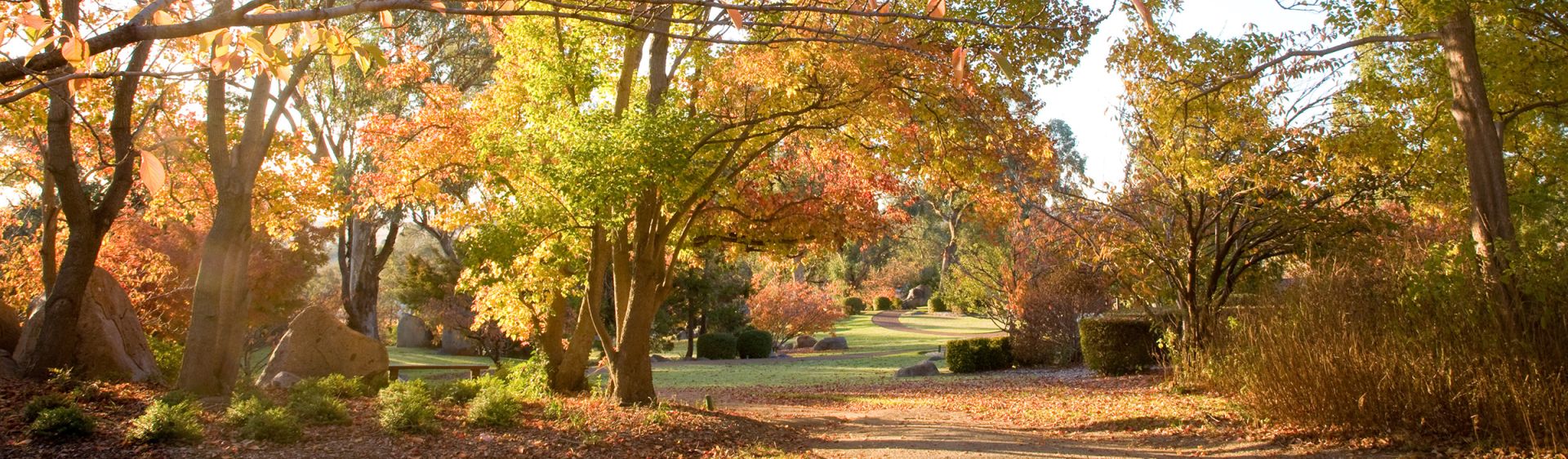 Thornbury Farm NSW Holidays & Things to Do
