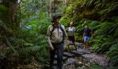 Couple enjoying a guided walk along the Grand Canyon Walking track in the Blue Mountains with Tread Lightly Eco Tours