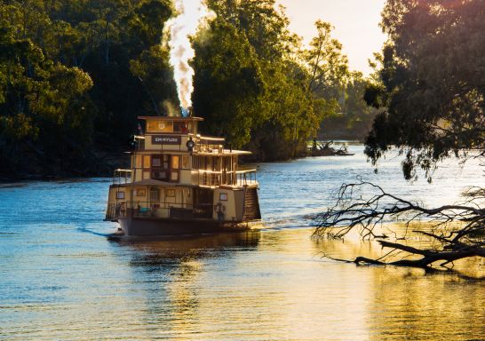 A paddlesteamer on the Murray River, Echuca