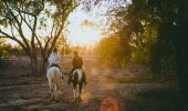 Grays Holler Horse Riding in Lightning Ridge - Outback NSW