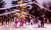 Families skating on the ice rink at Festival of W, Wagga Wagga