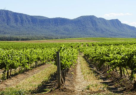 Pokolbin, Hunter Valley