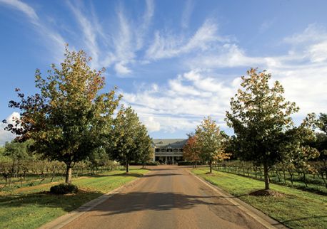 Peppers Convent, Hunter Valley - Image Sydney Seaplanes