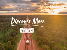 Drives and Roadtrips