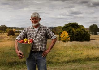 Man carrying bucket of apples from Small Acres Cyder, Orange