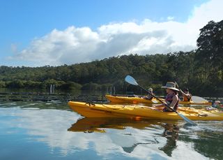 Oyster Tasting Kayak Tour, Eurobodalla NSW