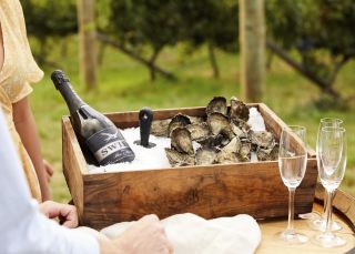 Printhie Wines in Molong, in der Nähe von Orange – Inland NSW