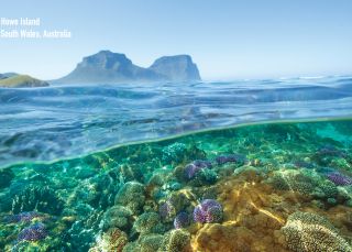 Spectacular Scenery - Lord Howe Island