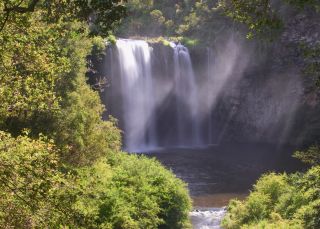 Scenic shot of Dangar Falls, near Dorrigo, North Coast