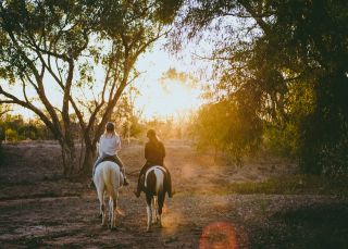 Grays Holler Horse Riding in Lightning Ridge - Outback NSW