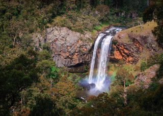 Ebor Falls - Armidale Area