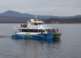 Cat Balou Cruises and Whale Watching Eden in Merimbula & Sapphire Coast, South Coast