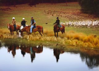 Burnelee Excursions on Horseback in Murrumbateman, Yass Area