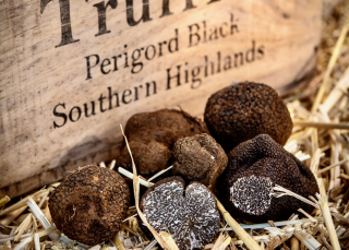 Wild Food Adventures Ganymede Truffles in Berrima - Southern Highlands - Country NSW