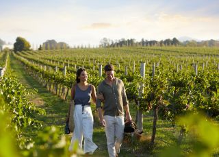 Rowlee Wines, Nashdale