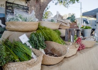 Berry Farmers Market at Berry in Jervis Bay and Shoalhaven, South Coast