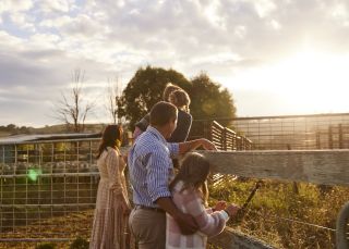 Working cattle and sheep farm; Markdale