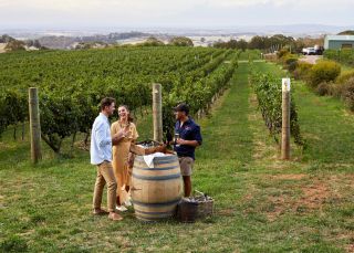 Couple enjoying Swift Sparkling Wine and oysters with scenic views across Printhie Wines vineyard in Molong, near Orange