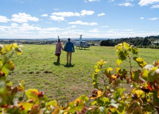 Printhie 葡萄酒酒窖