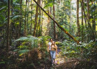 Couple enjoying a walk through Burrawan State Forest at Herons Creek in Port Macquarie, North Coast