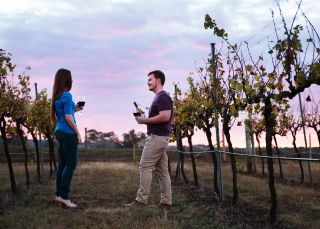 ピーターソンズ アーミデール ゲストハウス アンド ワイナリー（アーミデール）