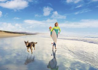 Shoalhaven, Südküste