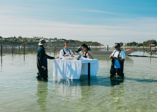 Nördlich der Eden Gin School, Stony Creek Farm Distillery