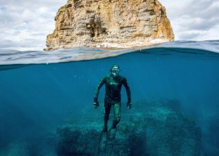 Frau taucht mit einer Robbe vor Montague Island, Narooma