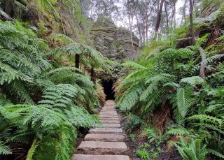 Gruppe auf einer Öko-Tour durch das Wolgan-Tal, Wolgan-Tal