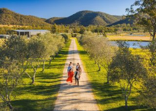 헌터밸리(Hunter Valley) 호프 에스테이트에서 와인 시음을 즐기는 친구들