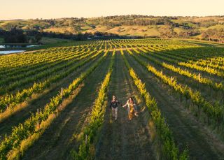 Ross Hill Wines, Orange