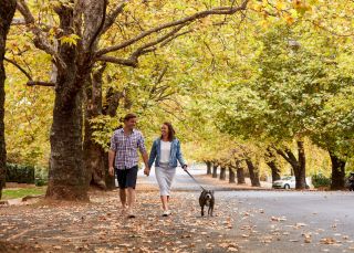 Couple enjoying a walk through tree-lined Sampson Street, Orange