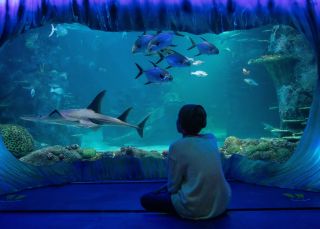 SEA LIFE Sydney Aquarium, Darling Harbour 