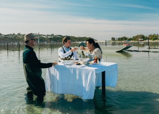 Merimbula Oyster Tours, Merimbula