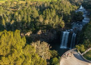 Dangar Falls, Dorrigo
